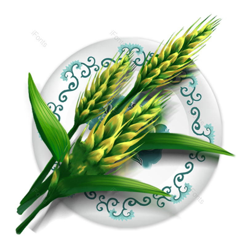 芒种图片,小满元素,清新PNG,秋天免抠素材